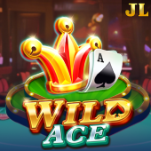Wild Ace playtime legit slot